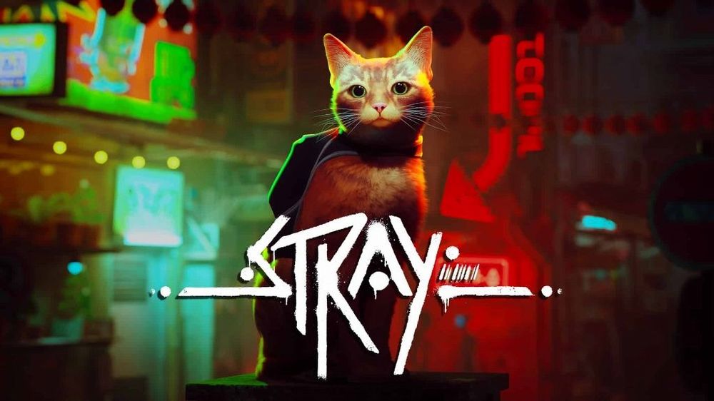 Stray XBOX Stray XBOX